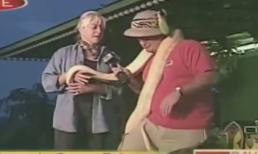 Phóng viên và tai nạn hài hước với động vật