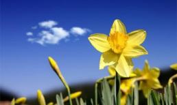 Khám phá thứ Bảy của bạn (20/9/2014)