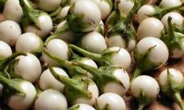 Những người thực sự không nên ăn cà