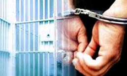 Mẹ già ngoài 80 tuổi bị con trai dùng xăng thiêu sống