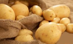 Khoai tây - 'độc bảng A' đối với người mắc bệnh tiểu đường