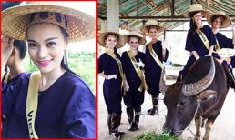 Cao Thùy Linh đi chăn trâu, làm nông dân ở “Hoa hậu Quốc tế 2014”