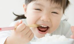 Nên và Không nên để con ăn được nhiều hơn mỗi bữa