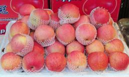 Việt Nam bất lực với 'lê 5 tháng, táo 9 tháng không hỏng'