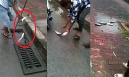 Kỹ năng bắt cá có một không hai tại Việt Nam