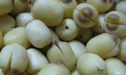 Thảo dược giúp ngủ ngon