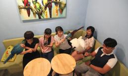 Mốt uống cà phê với vẹt và cú của giới trẻ TP.HCM