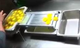 Máy tách lòng đỏ trứng nhanh và hiệu quả nhất