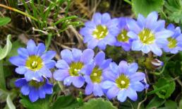 Khám phá thứ năm của bạn (25/9/2014)