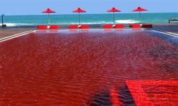 15 bể bơi tuyệt mỹ nhất thế giới