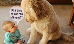 Bí quyết để cao lớn