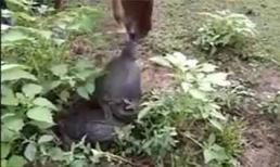 Cái giá phải trả cho kẻ thứ ba