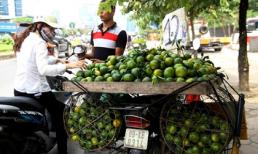 Cam Trung Quốc nhái cam Việt Nam tràn ngập thị trường