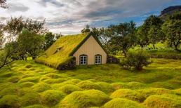 Nhà thờ mái cỏ đẹp như trong cổ tích ở Iceland