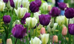 Khám phá thứ Bảy của bạn (27/9/2014)