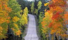 Ngây ngất với mùa thu vàng trên khắp thế giới