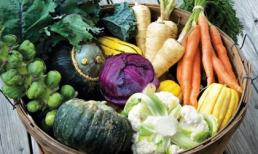 7 thực phẩm giúp bạn đánh bại nguy cơ dị ứng trong mùa thu