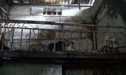 Cháy tiệm tóc: Nghi án ghen tuông, phóng hỏa tự sát