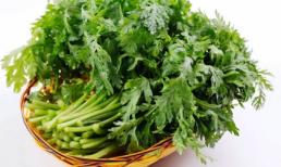 Bất ngờ với công dụng chữa bệnh của cải cúc