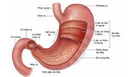 Những điều nên và không nên làm khi bị đau dạ dày