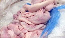 Càng gần Tết, càng nhiều nầm, nội tạng thối