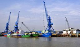 Dương Chí Dũng hé lộ dự án liên quan đến đại gia Trương Mỹ Lan