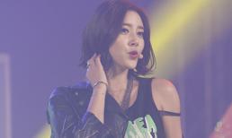 Son Dam Bi gặp sự cố tại Việt Nam