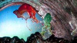 Ngắm những hình ảnh của nước đẹp như thủy tinh