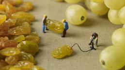 Ngắm những hình ảnh siêu ngộ nghĩnh về người tí hon