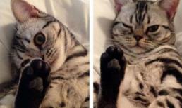 Hơi bị... bốc mùi