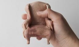 Rùng mình những tác phẩm nghệ thuật giống... thịt người