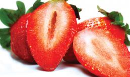 Thực phẩm cho bà bầu