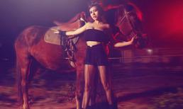 Mai Thỏ tạo dáng bên ngựa mừng Tết Giáp Ngọ