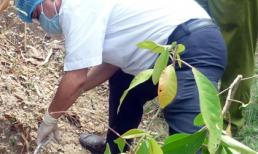 Bé gái phạm tội giết người chỉ vì thèm quà vặt