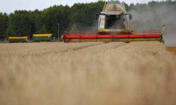 Nông dân nghèo chìm trong "bom thư" làm quen sau quảng cáo tuyển vợ