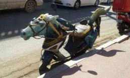 Năm Ngựa cưỡi con Ngọ