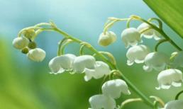 Thứ Năm của bạn (23/1)