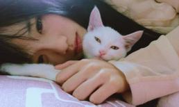 Có nỗi nhớ nào rơi qua kẽ tay