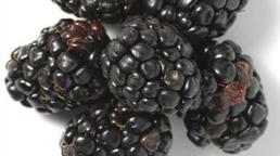 8 thực phẩm sau khi mua n&#234;n chọn loại m&#224;u đen tốt hơn rất nhiều