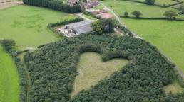 Món quà tình yêu lãng mạn hơn cả trong phim Hàn