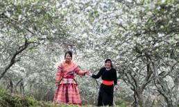 Nên đi đâu ngày Tết cho tiết kiệm?