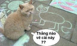 Tuyển tập ảnh chế đặc sắc nhất năm 2013