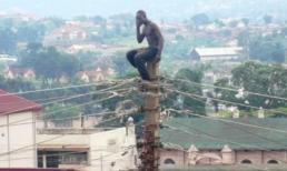 Chỉ có thể là châu Phi!