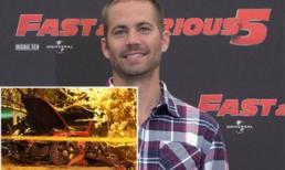 Kết quả khám nghiệm: Paul Walker chết do bỏng, gãy xương nghiêm trọng