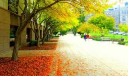 Chiêm tinh giải mã tuần mới của bạn