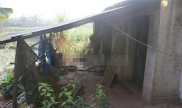 Những hình ảnh mới nhất trong "ngôi nhà hoang" của Lê Văn Luyện