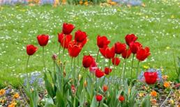 Khám phá thứ tư của bạn (1/10/2014)