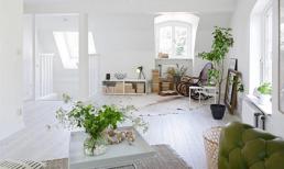 Nhà trắng tinh khôi, cặp đôi xao xuyến