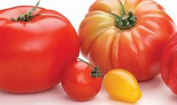 5 thực phẩm quen thuộc không nên bảo quản tủ lạnh