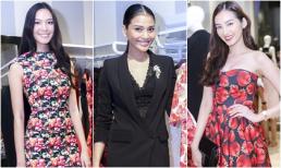 Thùy Dung tái xuất rạng rỡ cạnh dàn Hoa hậu tại sự kiện